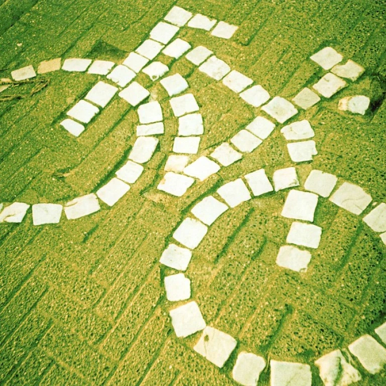 Les vols wefly : une révolution dans la mobilité urbaine