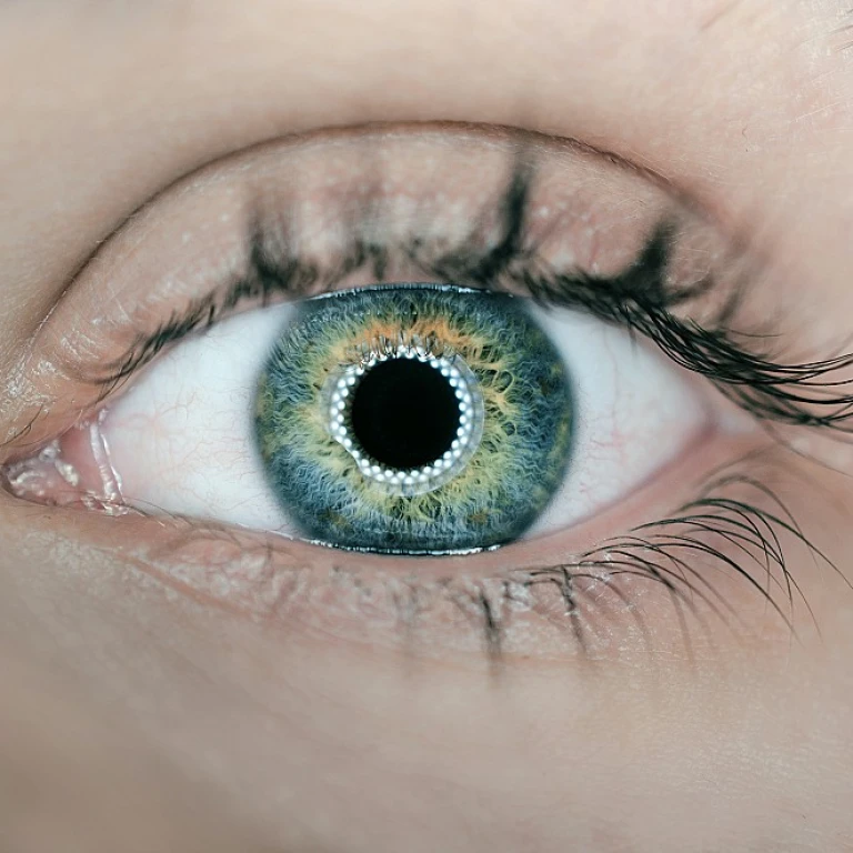 Les enjeux des 114 cars du Rhône dans la mobilité urbaine